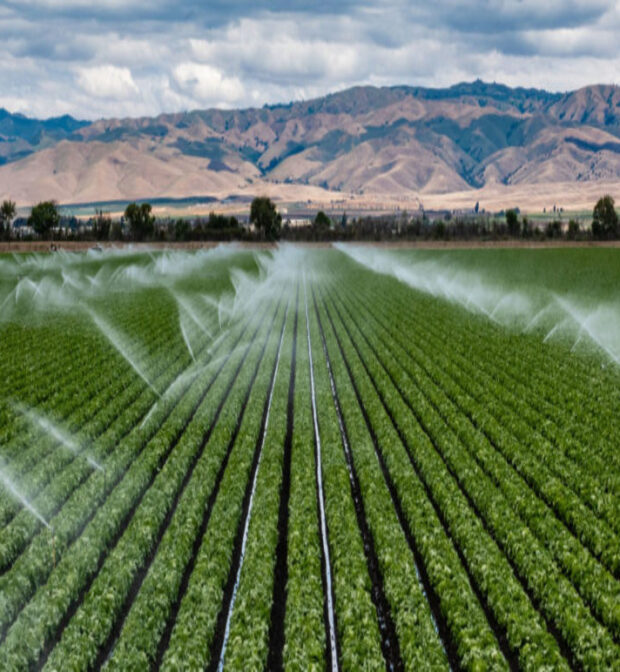 agriculture land image